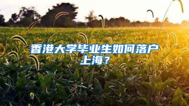 香港大學(xué)畢業(yè)生如何落戶上海？