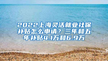 2022上海靈活就業(yè)社保補(bǔ)貼怎么申請？三年和五年補(bǔ)貼4.1萬和6.9萬