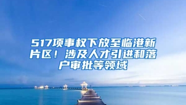 517項事權(quán)下放至臨港新片區(qū)！涉及人才引進和落戶審批等領域