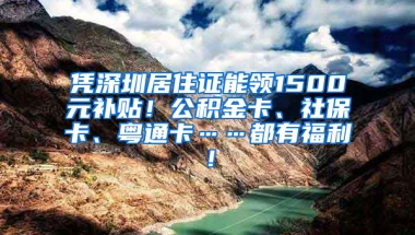 憑深圳居住證能領1500元補貼！公積金卡、社保卡、粵通卡……都有福利！