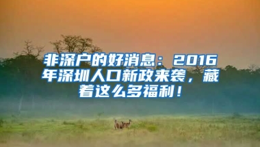 非深戶的好消息：2016年深圳人口新政來(lái)襲，藏著這么多福利！