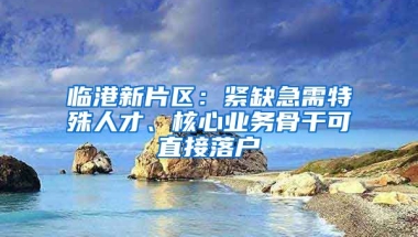 臨港新片區(qū)：緊缺急需特殊人才、核心業(yè)務(wù)骨干可直接落戶