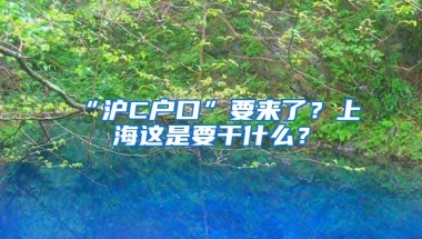 “滬C戶口”要來了？上海這是要干什么？