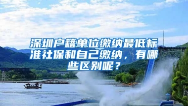 深圳戶籍單位繳納最低標(biāo)準(zhǔn)社保和自己繳納，有哪些區(qū)別呢？