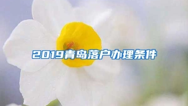 2019青島落戶辦理條件