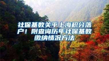 社?；鶖?shù)關(guān)乎上海積分落戶！附查詢歷年社?；鶖?shù)繳納情況方法