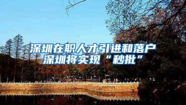 深圳在職人才引進(jìn)和落戶深圳將實(shí)現(xiàn)“秒批”