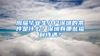 應屆畢業(yè)生入戶深圳的條件是什么？深圳有哪些福利待遇？