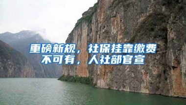 重磅新規(guī)，社保掛靠繳費(fèi)不可有，人社部官宣