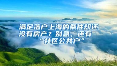 滿足落戶上海的條件卻還沒有房產(chǎn)？別急，還有“社區(qū)公共戶”