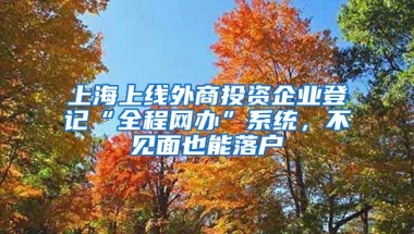 上海上線外商投資企業(yè)登記“全程網(wǎng)辦”系統(tǒng)，不見面也能落戶