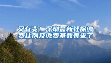 又有變！深圳最新社保繳費比例及繳費基數(shù)表來了