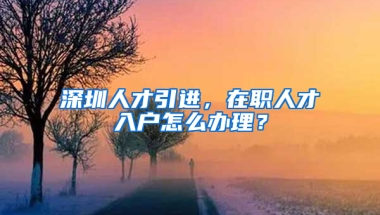 深圳人才引進(jìn)，在職人才入戶怎么辦理？