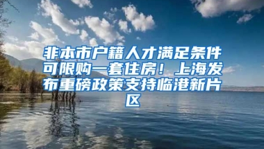 非本市戶籍人才滿足條件可限購一套住房！上海發(fā)布重磅政策支持臨港新片區(qū)