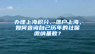 辦理上海積分、落戶上海，如何查詢自己歷年的社保繳納基數(shù)？