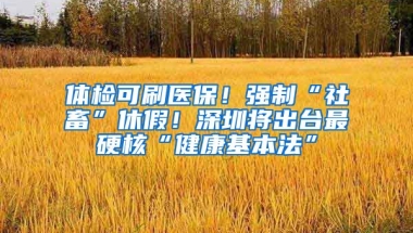 體檢可刷醫(yī)保！強制“社畜”休假！深圳將出臺最硬核“健康基本法”