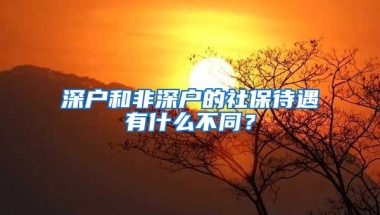 深戶和非深戶的社保待遇有什么不同？