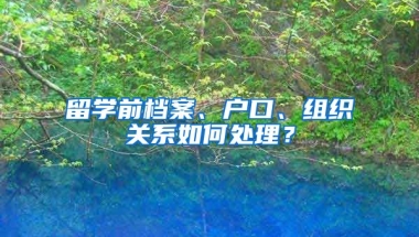 留學(xué)前檔案、戶口、組織關(guān)系如何處理？