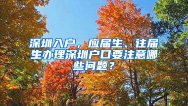 深圳入戶，應屆生、往屆生辦理深圳戶口要注意哪些問題？