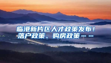 臨港新片區(qū)人才政策發(fā)布！落戶政策、購房政策……