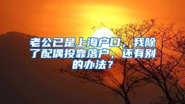 老公已是上海戶口，我除了配偶投靠落戶，還有別的辦法？