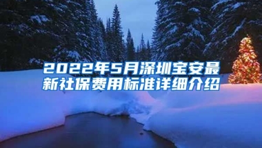 2022年5月深圳寶安最新社保費(fèi)用標(biāo)準(zhǔn)詳細(xì)介紹