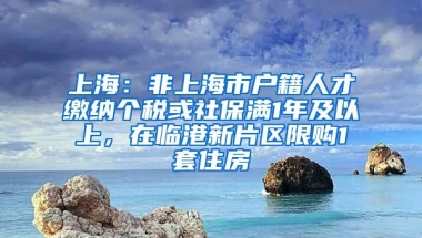 上海：非上海市戶籍人才繳納個稅或社保滿1年及以上，在臨港新片區(qū)限購1套住房