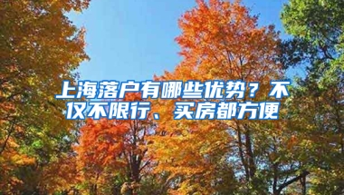 上海落戶(hù)有哪些優(yōu)勢(shì)？不僅不限行、買(mǎi)房都方便