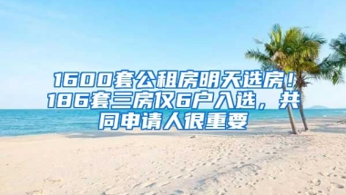 1600套公租房明天選房！186套三房僅6戶入選，共同申請人很重要