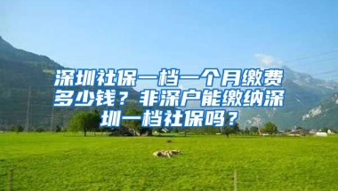 深圳社保一檔一個月繳費(fèi)多少錢？非深戶能繳納深圳一檔社保嗎？