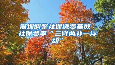 深圳調(diào)整社保繳費(fèi)基數(shù) 社保費(fèi)率“三降兩補(bǔ)一浮動(dòng)”