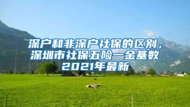 深戶和非深戶社保的區(qū)別，深圳市社保五險(xiǎn)一金基數(shù)2021年最新