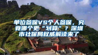 單位參保VS個(gè)人參保，究竟哪個(gè)更“劃算”？深圳市社保局權(quán)威解讀來了