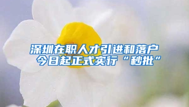 深圳在職人才引進(jìn)和落戶(hù) 今日起正式實(shí)行“秒批”