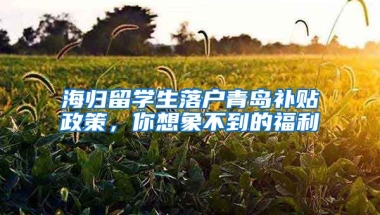 海歸留學(xué)生落戶青島補(bǔ)貼政策，你想象不到的福利