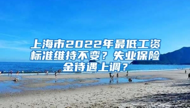 上海市2022年最低工資標(biāo)準(zhǔn)維持不變？失業(yè)保險金待遇上調(diào)？