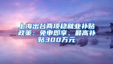 上海出臺兩項穩(wěn)就業(yè)補貼政策：免申即享、最高補貼300萬元