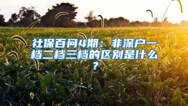 社保百問(wèn)4期：非深戶一檔二檔三檔的區(qū)別是什么？