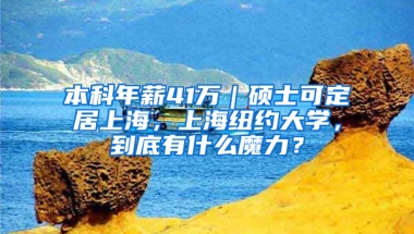 本科年薪41萬｜碩士可定居上海，上海紐約大學(xué)，到底有什么魔力？