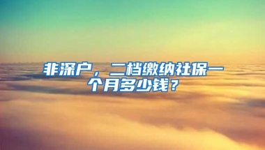 非深戶，二檔繳納社保一個月多少錢？