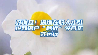 好消息！深圳在職人才引進(jìn)和落戶“秒批”今日正式運(yùn)行