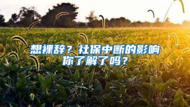 想裸辭？社保中斷的影響你了解了嗎？