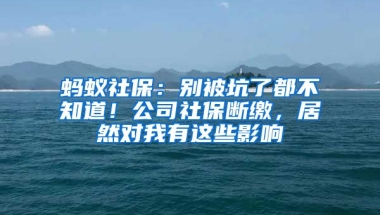 螞蟻社保：別被坑了都不知道！公司社保斷繳，居然對我有這些影響