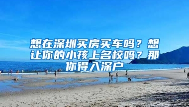 想在深圳買房買車嗎？想讓你的小孩上名校嗎？那你得入深戶