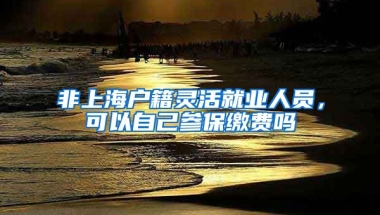 非上海戶籍靈活就業(yè)人員，可以自己參保繳費(fèi)嗎