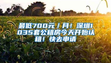 最低700元／月！深圳1035套公租房今天開始認租！快去申請