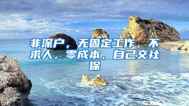 非深戶，無(wú)固定工作，不求人，零成本，自己交社保