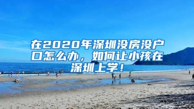 在2020年深圳沒房沒戶口怎么辦，如何讓小孩在深圳上學(xué)！