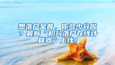 想落戶金普，你多少分啦？最新“積分落戶在線計(jì)算器”上線！