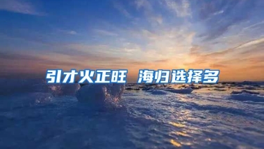 引才火正旺 海歸選擇多